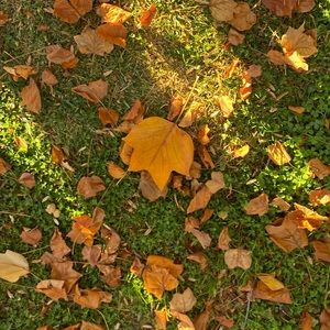 Meet your Posher, Nikki